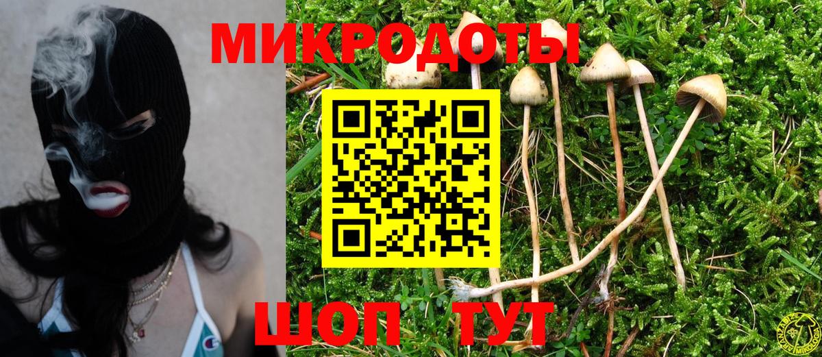 Галлюциногенные грибы мухоморы Альметьевск